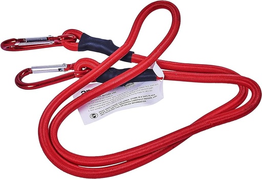 Bungee cord                        